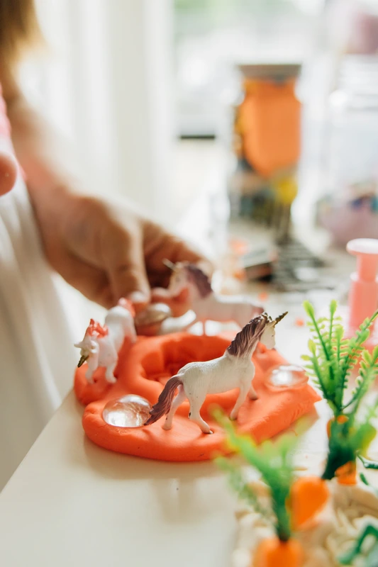 Charlotte Photographers